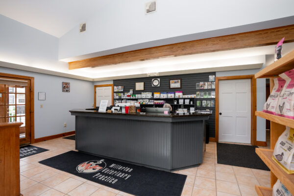 Millerton Veterinary Practice-208